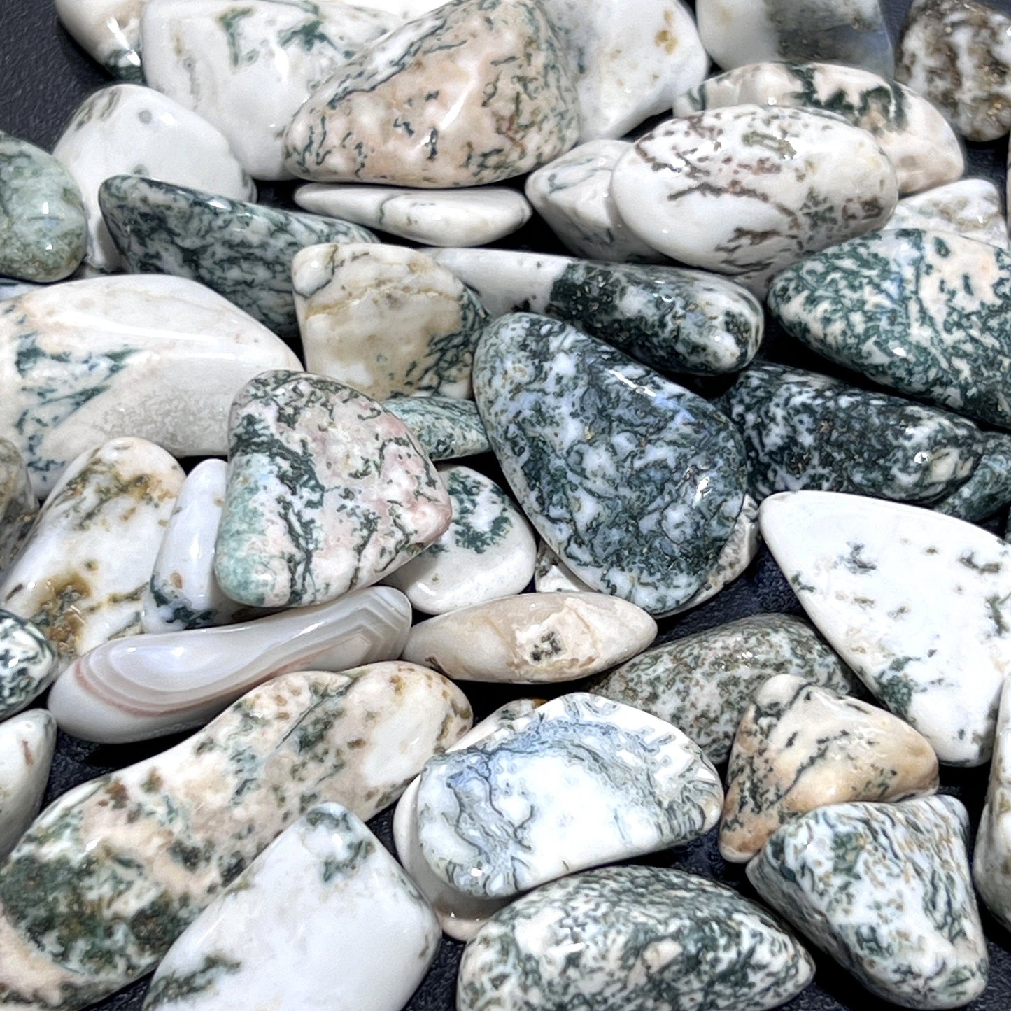 Tree Agate Tumbled Stones (By The Piece Or Pound) Bulk Wholesale Lot Polished Gemstones Amazing Crystals