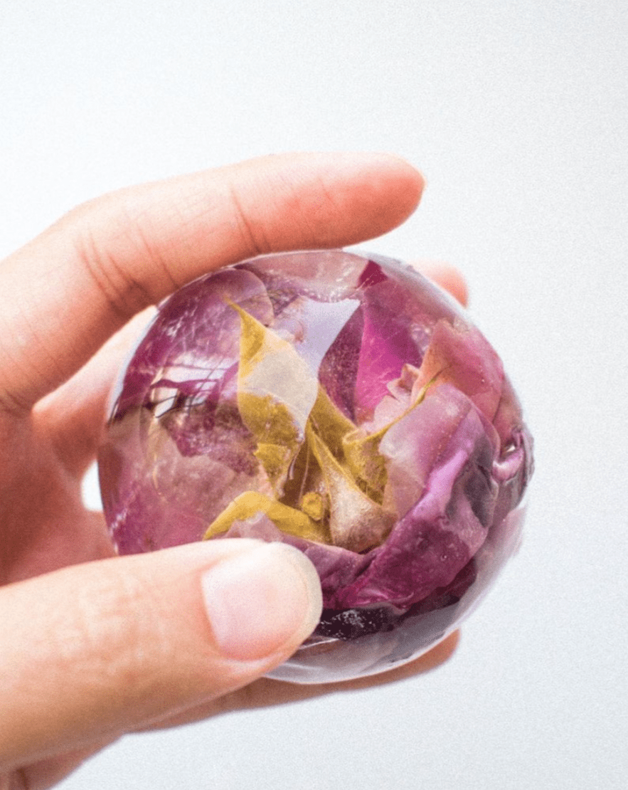 Shangri-la Rose The Qi