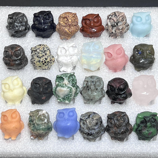 Mixed Gemstone Owl Carving Collection ( 24 Pcs ) Bulk Wholesale Assorted Flat Box Amazing Crystals