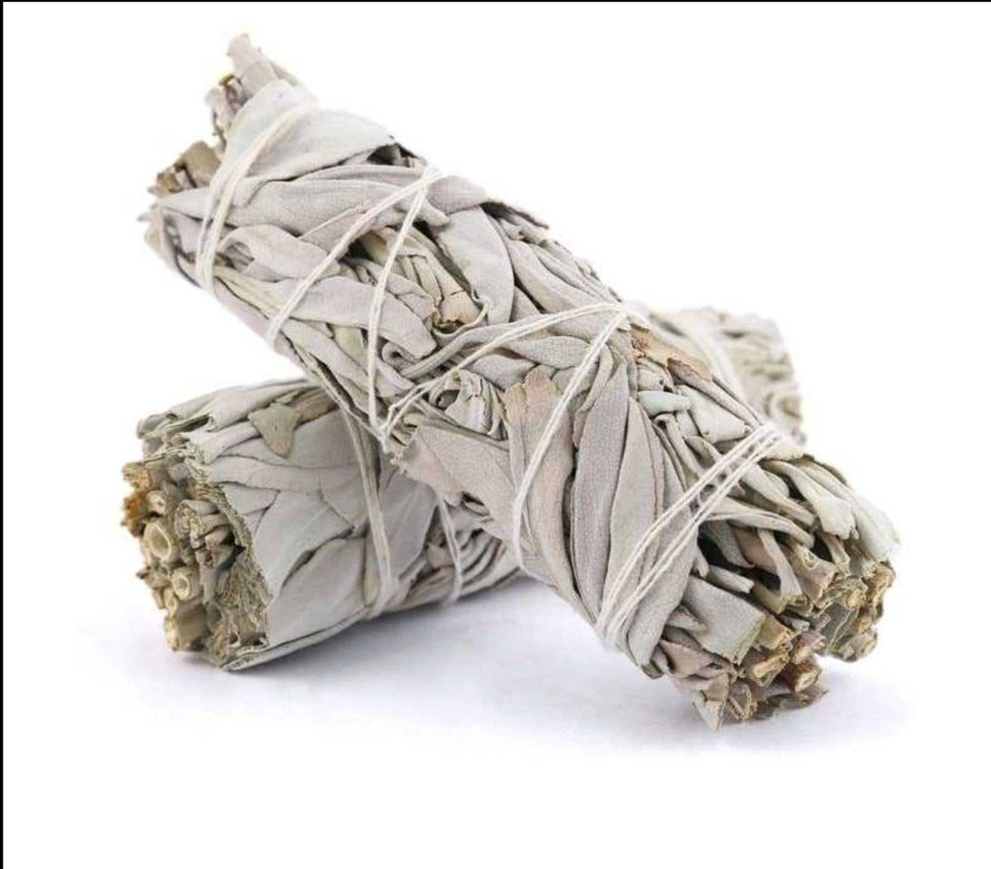 White Sage Smudge Stick (4 in.) Sacred Crystals