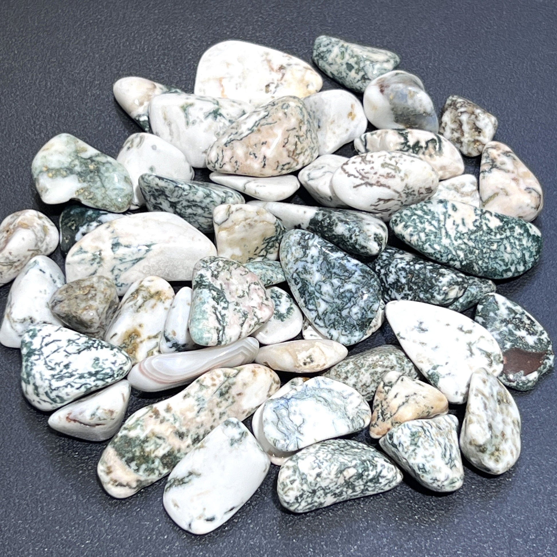Tree Agate Tumbled Stones (By The Piece Or Pound) Bulk Wholesale Lot Polished Gemstones Amazing Crystals