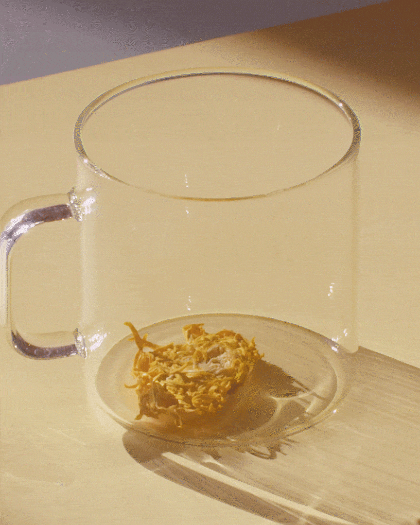 Royal Chrysanthemum The Qi