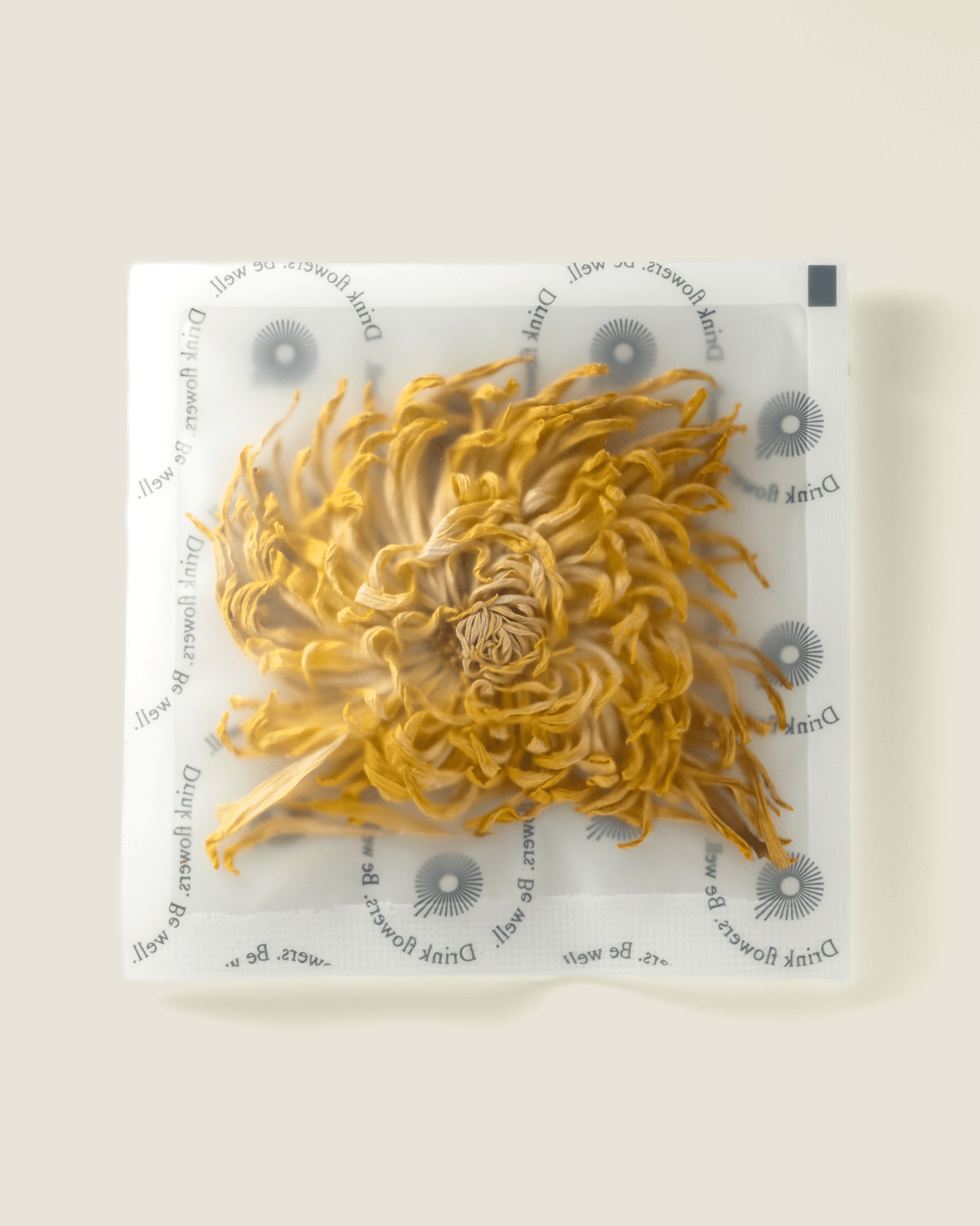 Royal Chrysanthemum The Qi