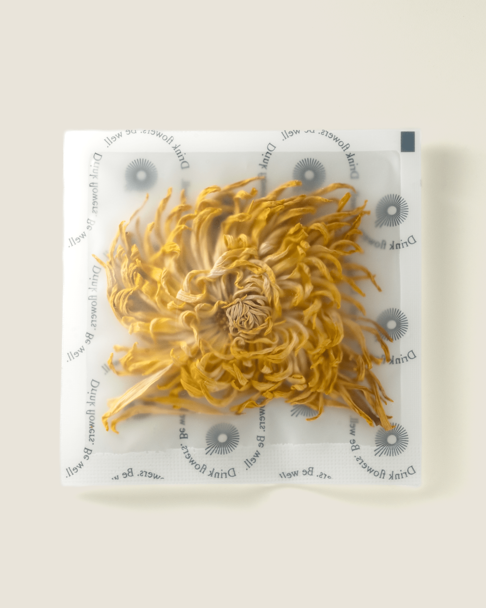 Royal Chrysanthemum The Qi