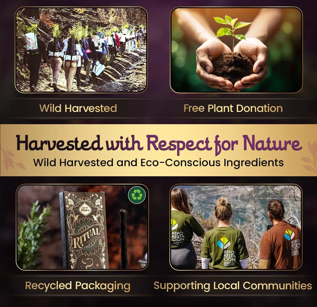 Frankincense Palo Santo Incense Sacred Scents Sanctuary