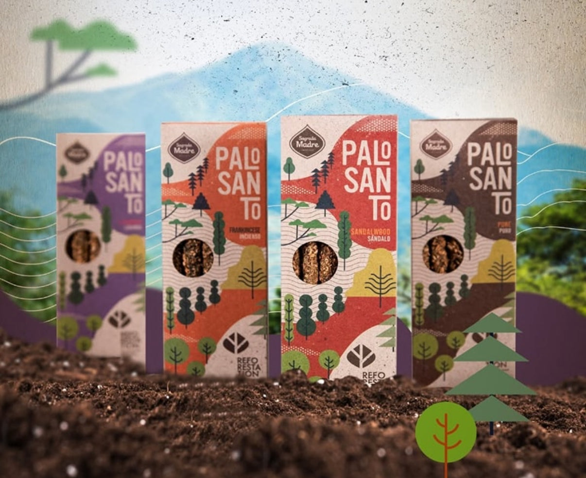 Variety Bundle Incense Sticks | 14 Boxes | Assortment Sacred Scents Sanctuary