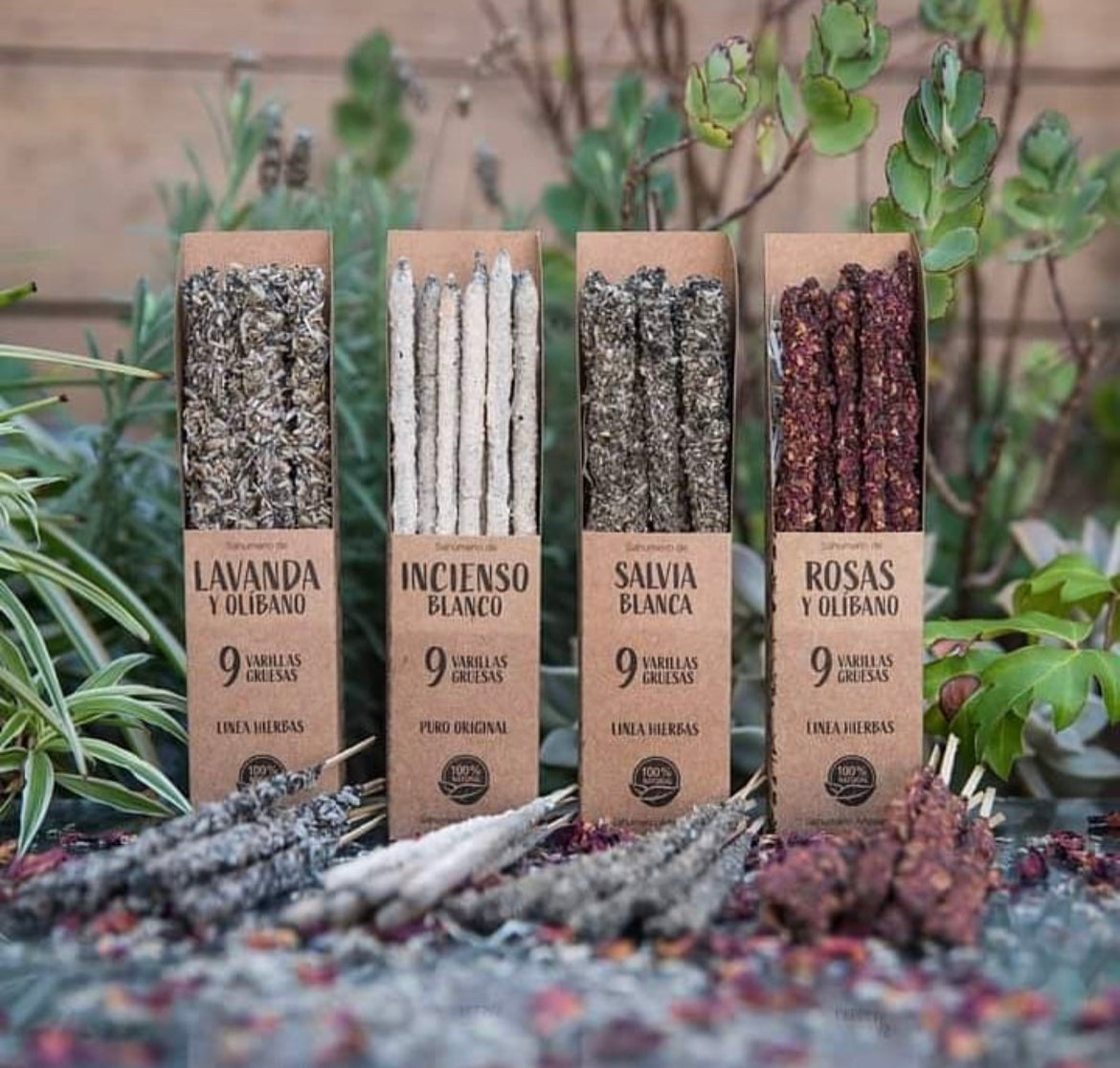 Variety Bundle Incense Sticks | 14 Boxes | Assortment Sacred Scents Sanctuary