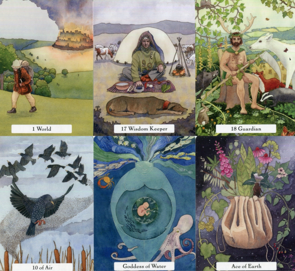 The Witches’ Wisdom Tarot Deck Green Witch Creations