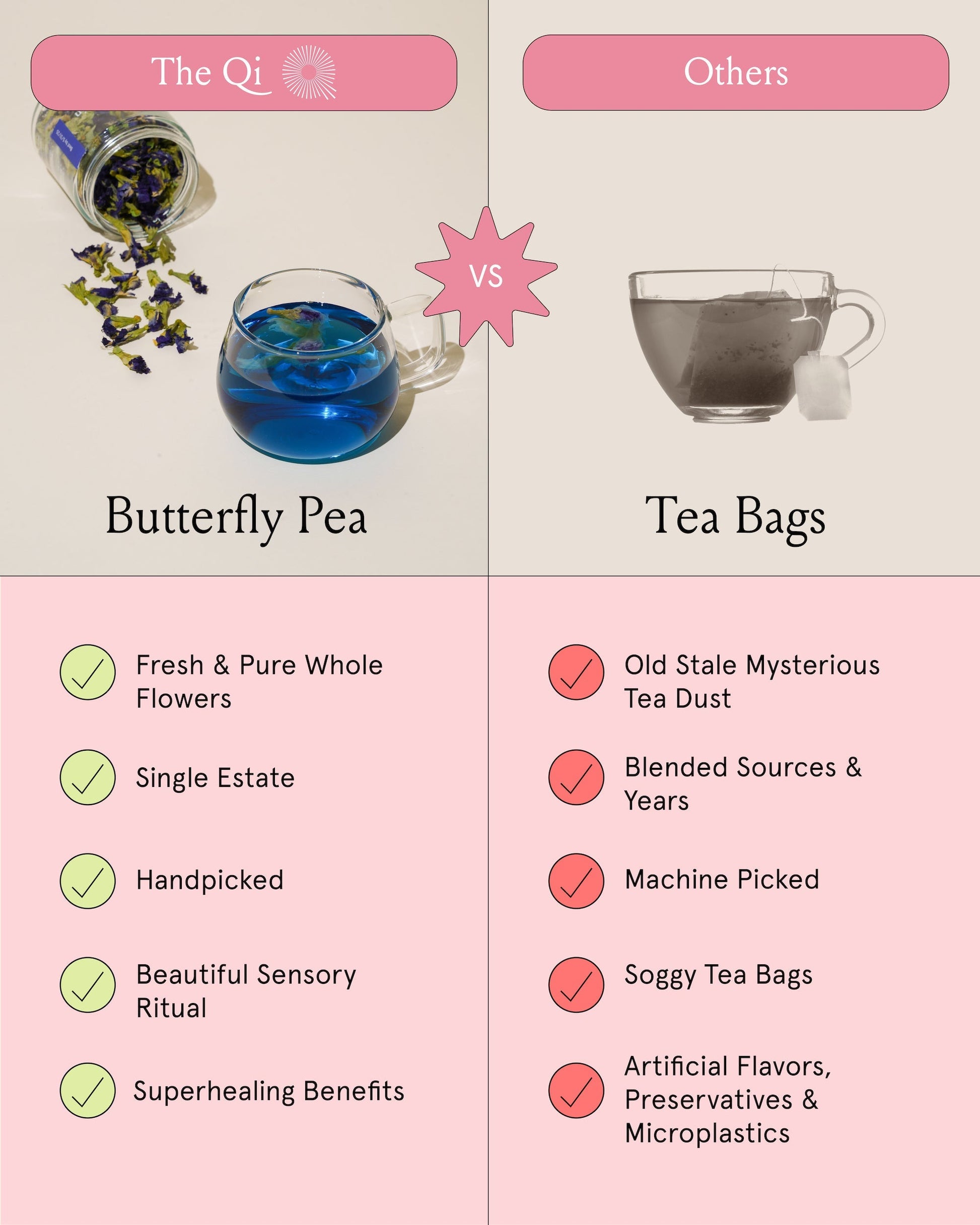 Butterfly Pea The Qi