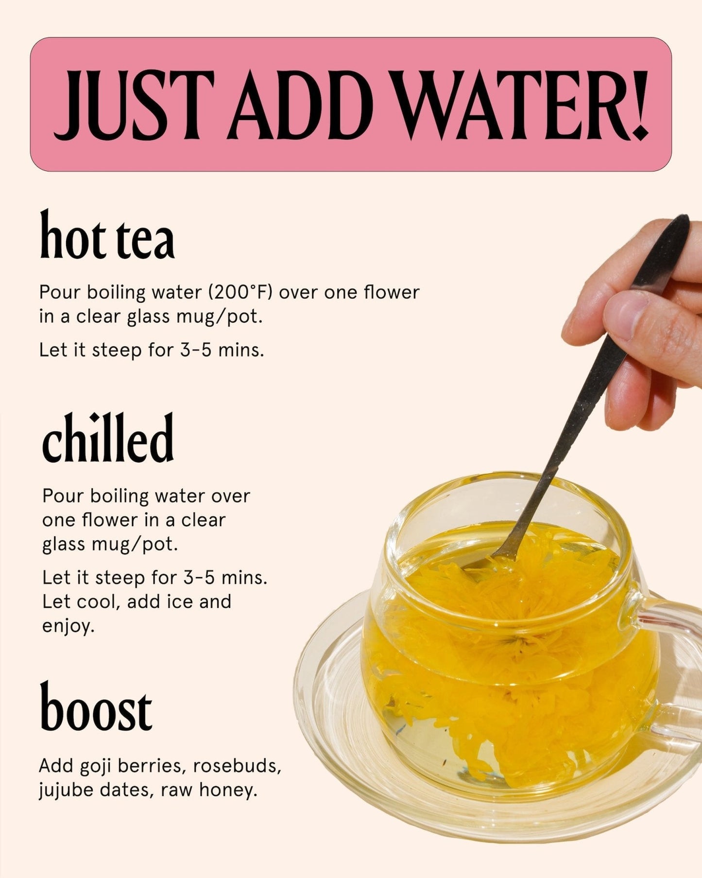 Royal Chrysanthemum The Qi