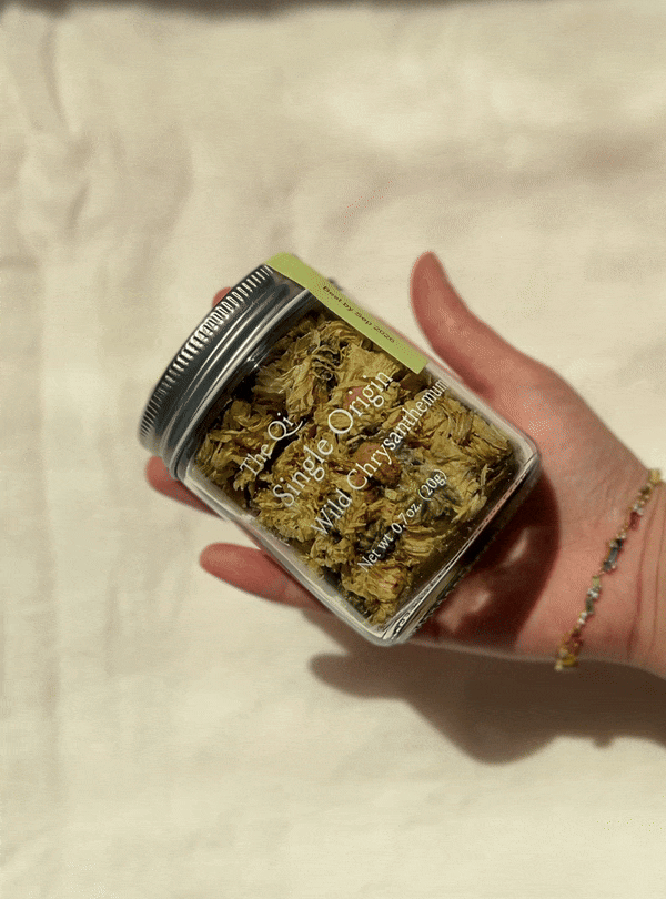 Wild Chrysanthemum The Qi