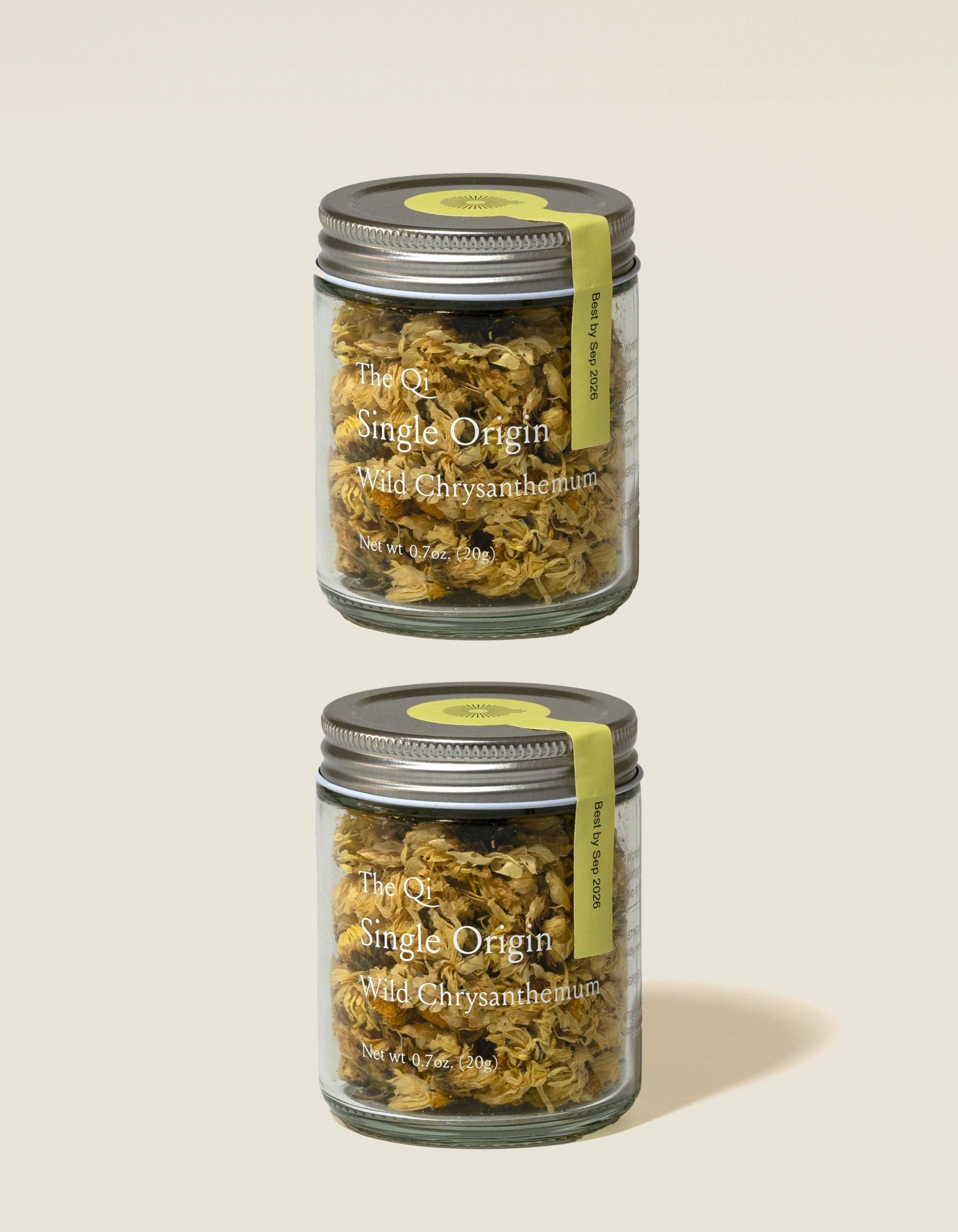 Wild Chrysanthemum The Qi