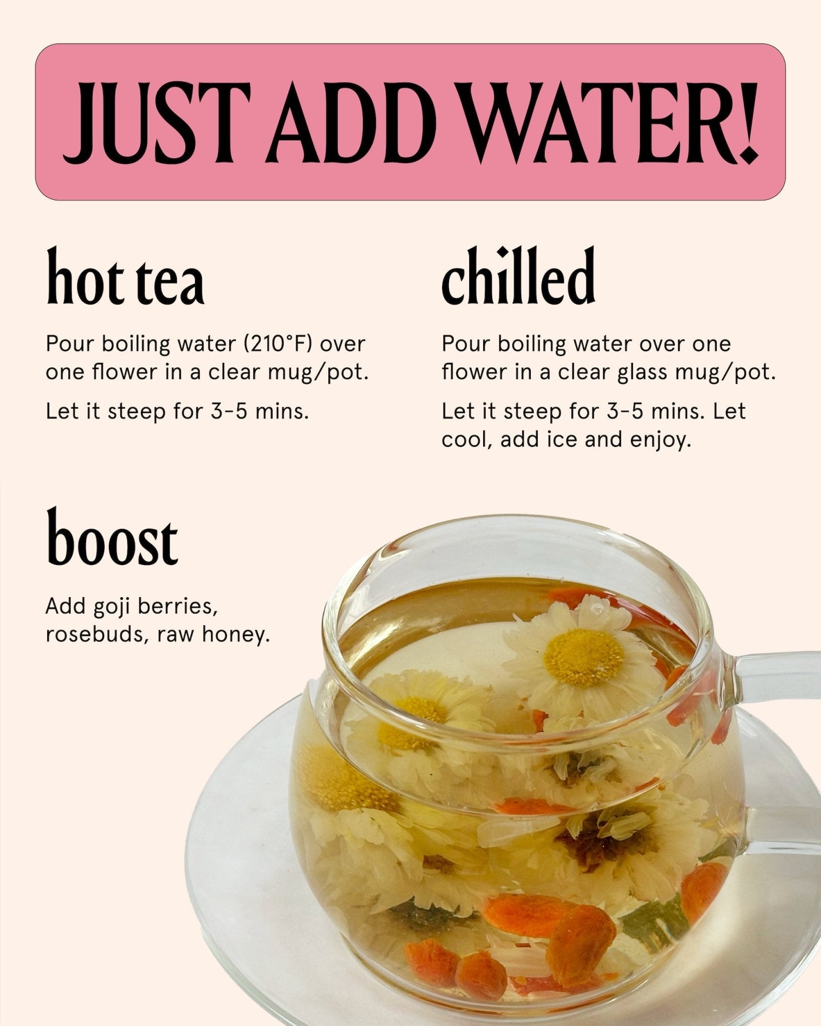 Wild Chrysanthemum The Qi