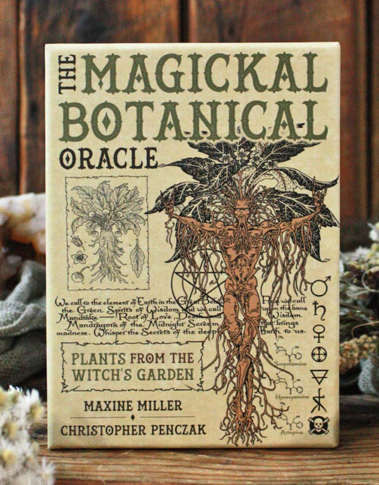 The Magickal Botanical Oracle Deck Green Witch Creations