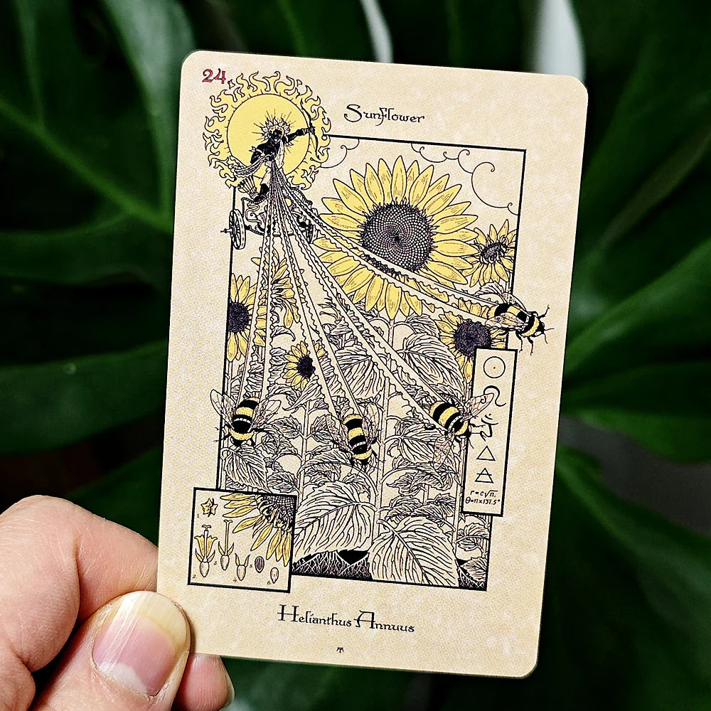 The Magickal Botanical Oracle Deck Green Witch Creations