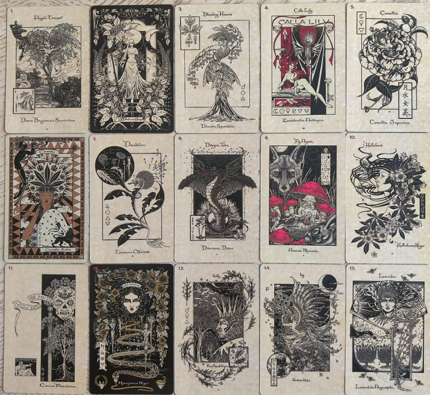 The Magickal Botanical Oracle Deck Green Witch Creations