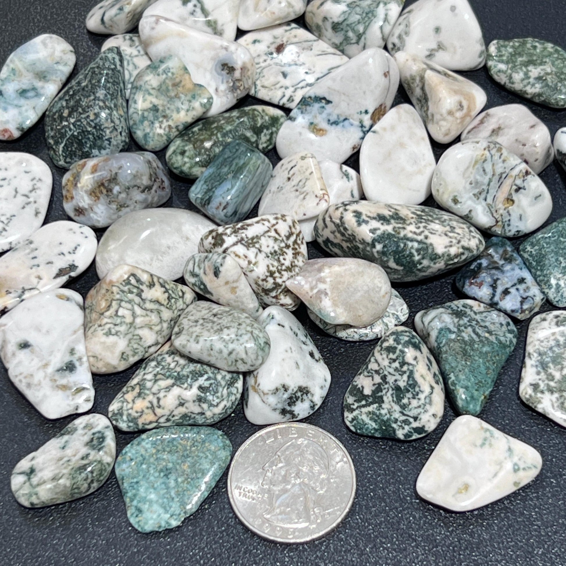 Tree Agate Tumbled Stones (By The Piece Or Pound) Bulk Wholesale Lot Polished Gemstones Amazing Crystals