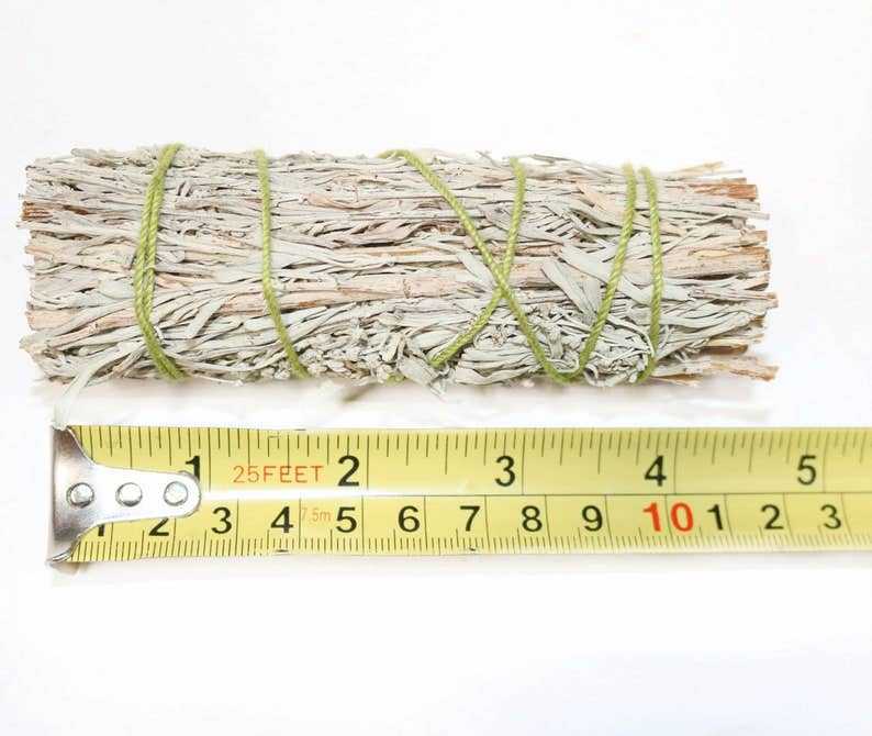 Blue Sage Smudge Stick (4 in.) Sacred Crystals
